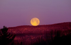 Resting Full Moon - astronomybuff.com